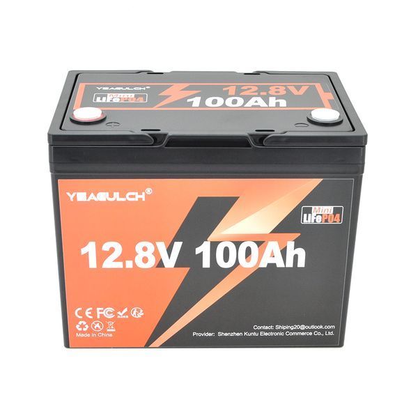 Акумуляторна батарея YEAGULCH Mini LiFePO4 12,8V 100Ah 1280Wh, BMS-100A, ( 246 x 187 x 197) , M8, 12.9kg Q1 45661 фото