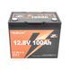 Акумуляторна батарея YEAGULCH Mini LiFePO4 12,8V 100Ah 1280Wh, BMS-100A, ( 246 x 187 x 197) , M8, 12.9kg Q1 45661 фото 2
